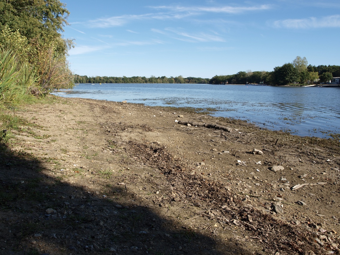 Rive de l'étang du Bois Joalland