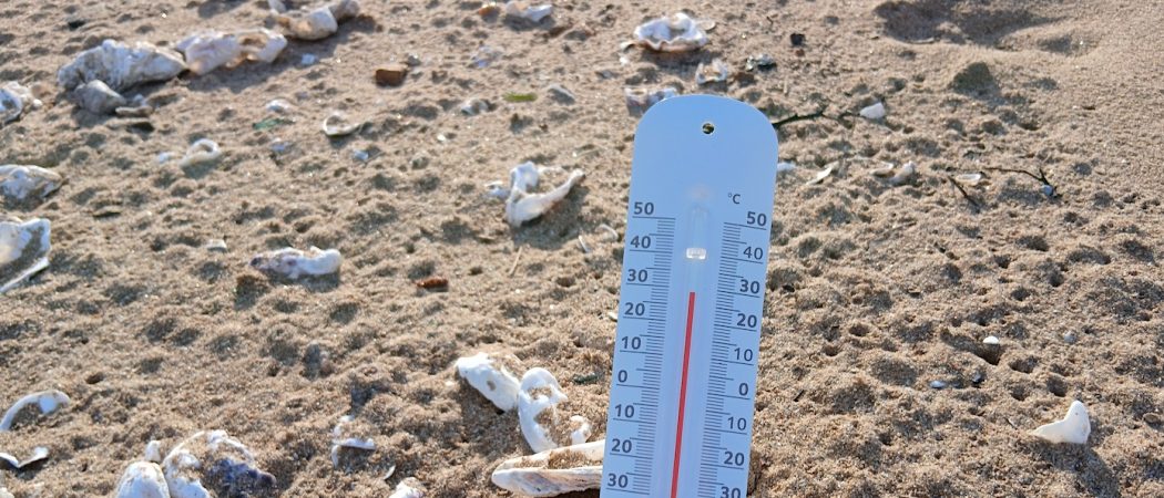 canicule-thermometre