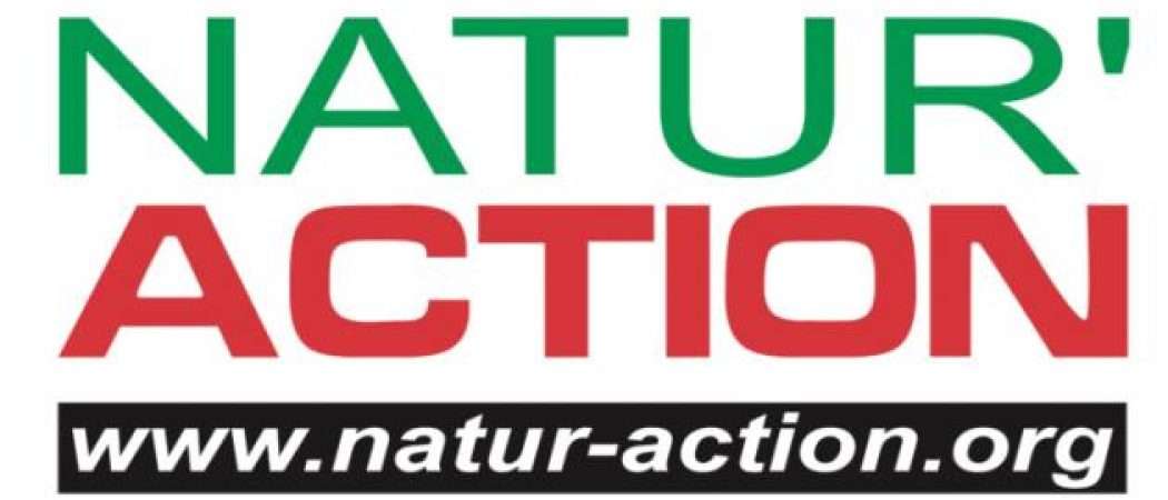 Natur-Action s'oppose à une mini centrale SMR à Cordemais