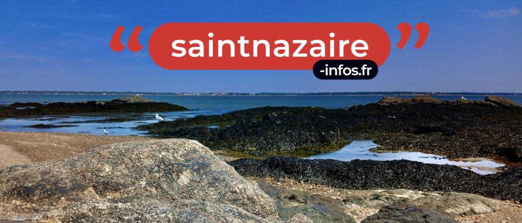 sninfos-audiences
